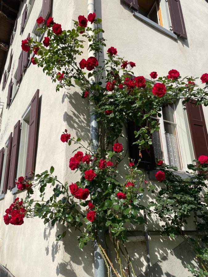 Gasthaus Beverin Farden エクステリア 写真
